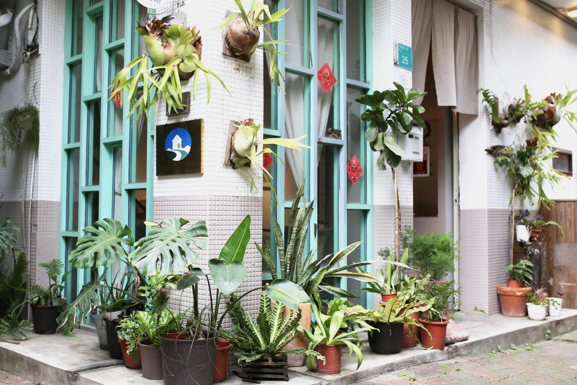 Jimu'S Holiday Home 吉姆俱樂部-台南包棟寵物友善民宿 Dış mekan fotoğraf
